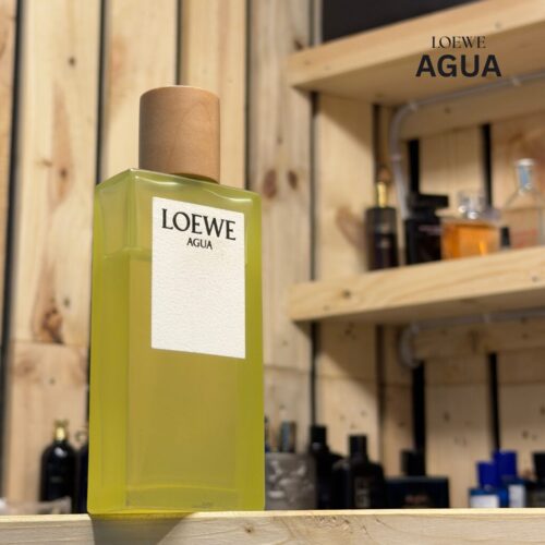 loewe-agua-tadic